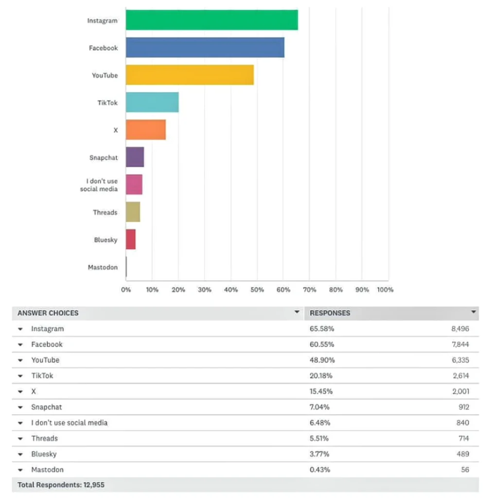 DJ Studie Social Media